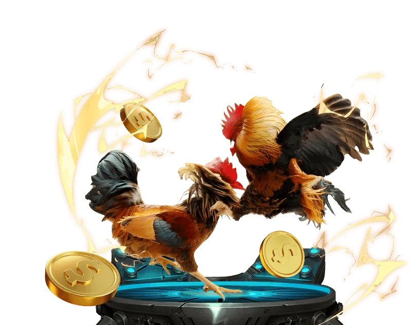 Minh họa các bước đăng ký